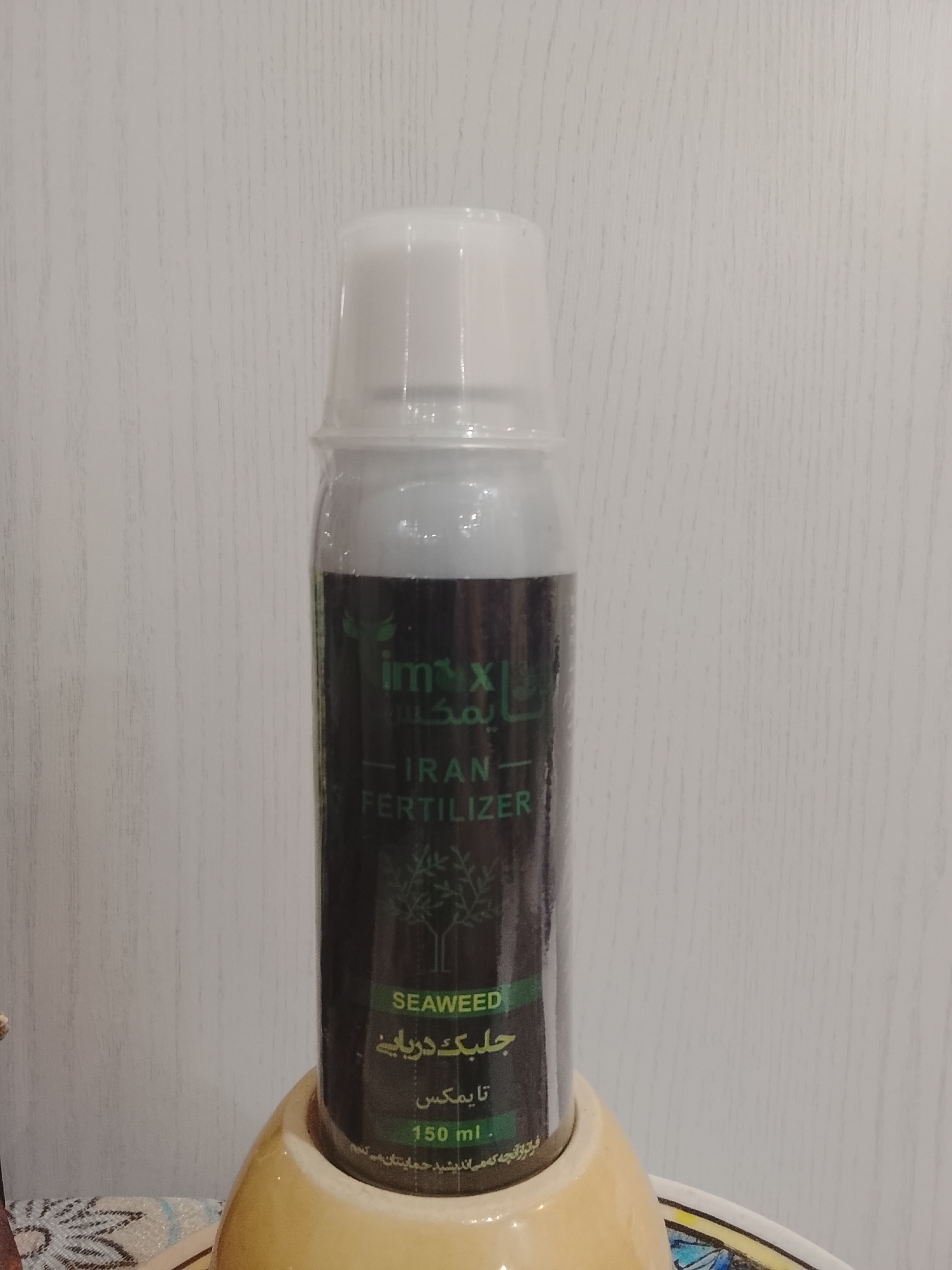 جلبک دریایی